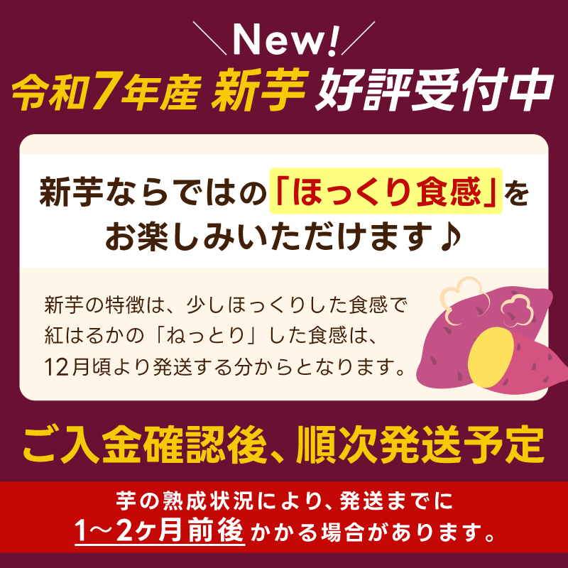 ★令和7年産 新芋★【人気返礼品】鹿島焼芋 純 1kg 【冷蔵 冷やし 焼き芋 やきいも さつまいも 芋 お菓子 おやつ デザート スイーツ 和菓子 和スイーツ 鹿嶋市 茨城県】（KBK-12-2） 1kg