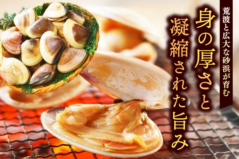 いばらき満喫Bセット 「鹿島灘産 はまぐり」＋「【茨城県共通返礼品】常陸の輝き (豚肉) 味噌漬け」【蛤 ハマグリ 三元豚 豚 ぶた ブタ セット バーベキュー BBQ 贈答用 ギフト 鹿嶋市 茨城】(KBL-21)