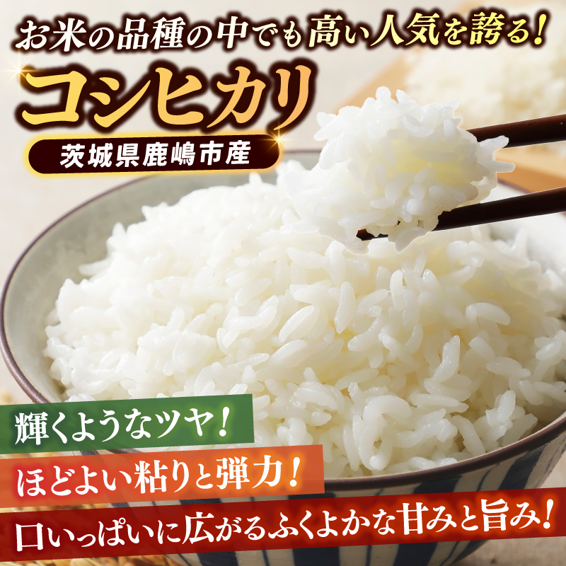 ★令和7年産米★ お米 コシヒカリ 玄米 10kg 鹿嶋市産【こしひかり 米 コメ ごはん ライス ブランド米 茨城県 鹿嶋市】(KBR-23)
