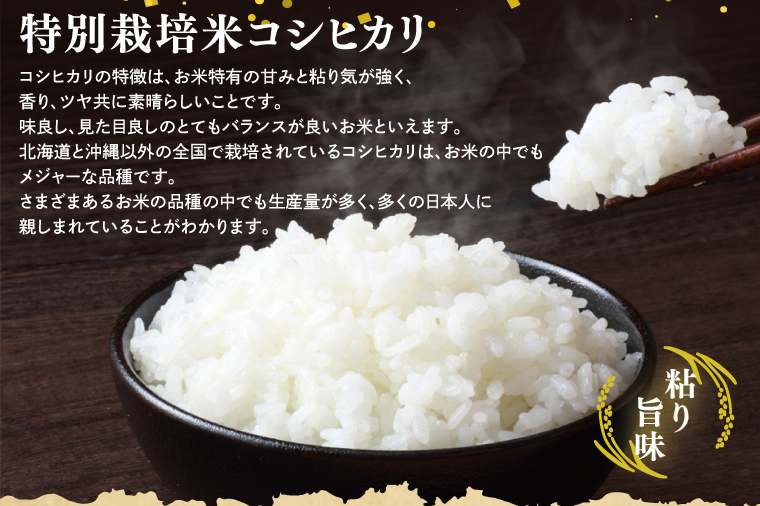 【令和7年産】鹿嶋市の子どもたちが食べている特別栽培米コシヒカリ（5kg×1袋）【お米 米 こしひかり 特別栽培 有機肥料 有機栽培 鹿嶋市 茨城県 白米 新米 おにぎり ごはん 15000円以内】(KBS-6) コシヒカリ 5kg