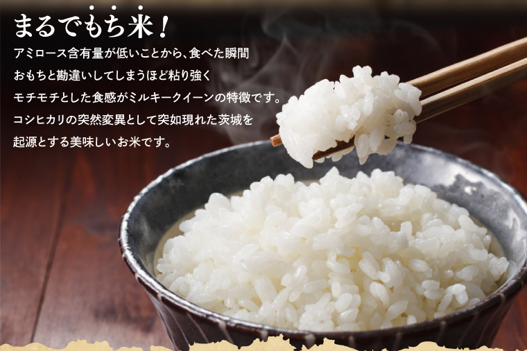 【令和7年産】鹿嶋市産ミルキークイーン(5kg×1袋)【お米 米 鹿嶋市 茨城県 白米 新米 おにぎり ごはん 15000円以内 】(KBS-8） ミルキークイーン 5kg