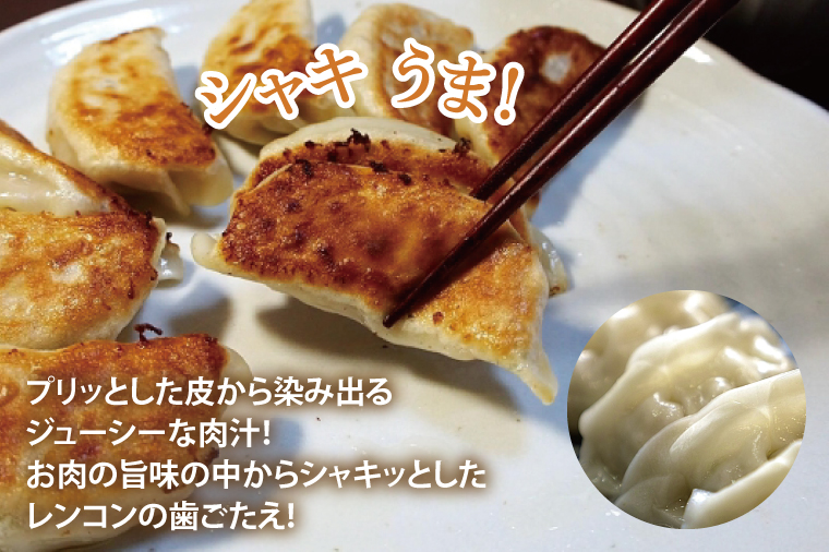 【大容量サイズ】蓮根肉餃子のおばけん【140粒】【野菜 ギョーザ れんこん しゃきしゃき おいしい 大容量 茨城県 鹿嶋市】（KBU-21）