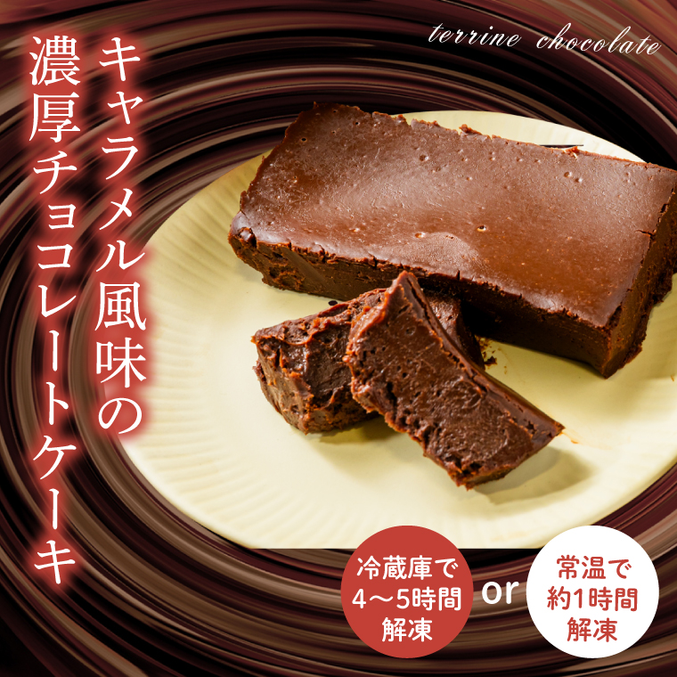 【５ヶ月定期便】テリーヌ　ショコラ 【チョコレート 生クリーム キャラメル バニラ チョコレートケーキ デザート スイーツ 鹿嶋市 茨城県】 （KCX-33）