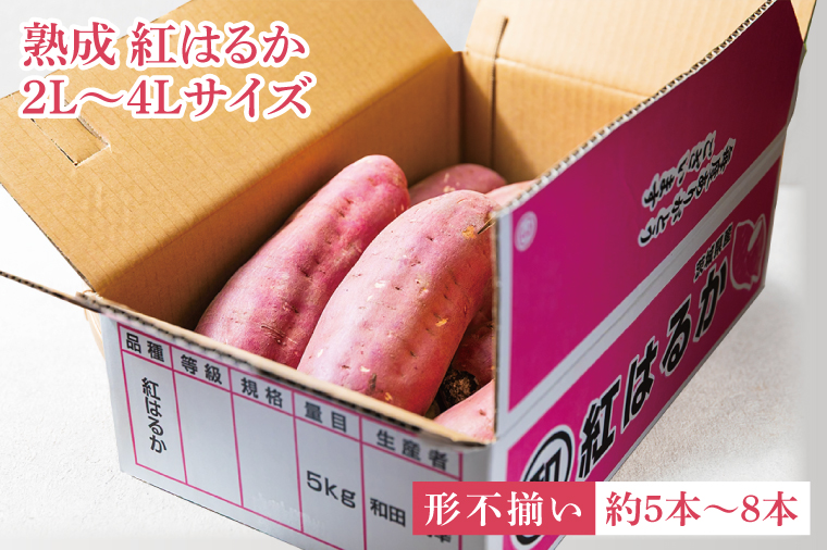 【先行予約】【訳あり 不揃い】完熟高糖度 さつまいも（紅はるか）約5kg（サイズ：2L～4L）【熟成 サツマイモ 焼き芋 キュアリング 茨城県 鹿嶋市産】【2025年12月～順次発送】（KDV-001） 2L～4L