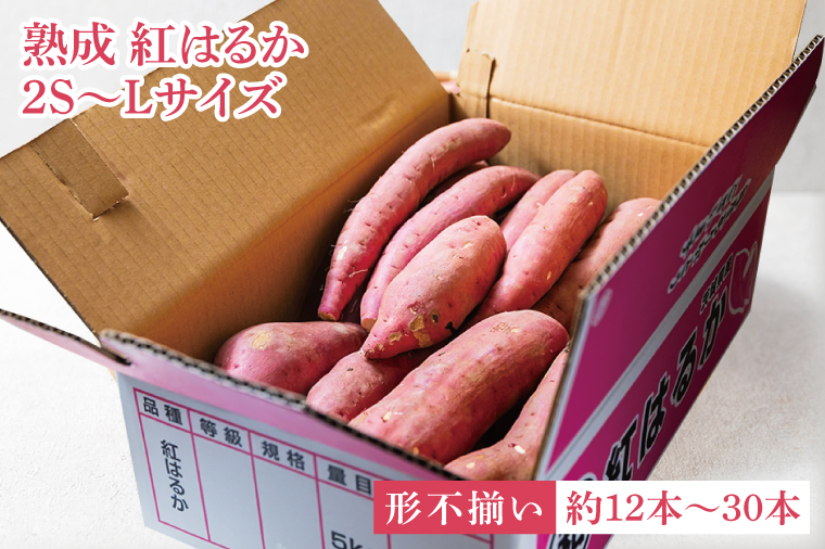 【先行予約】【訳あり 不揃い】完熟高糖度 さつまいも（紅はるか）約5kg（サイズ：2S～L）【熟成 サツマイモ 焼き芋 訳あり 訳あり キュアリング 茨城県 鹿嶋市産】【2025年12月～順次発送】（KDV-002） 2S～L