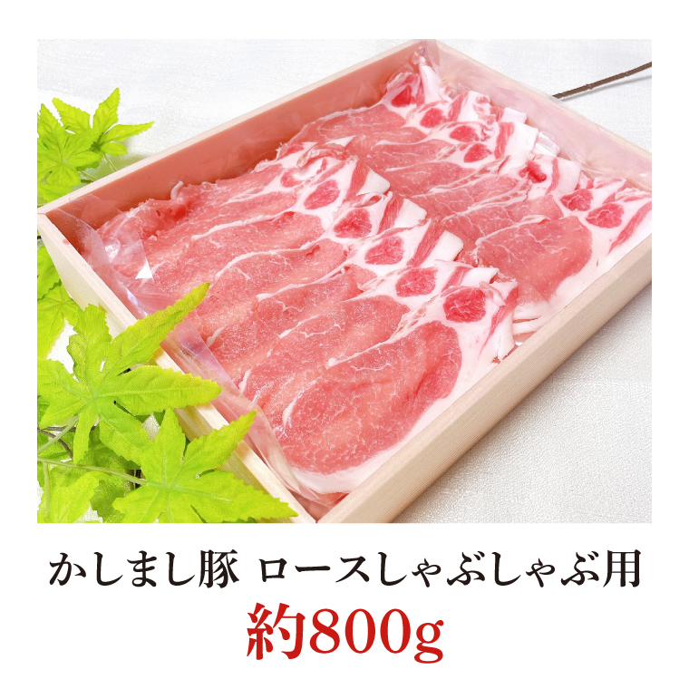 令和５年度・令和6年度 東京食肉市場豚枝肉共励会 連続受賞肉【かしまし豚】豚ロースしゃぶしゃぶ用 【ブランド豚 ロース 約800g 大容量 茨城県 鹿嶋市】(KM-20)