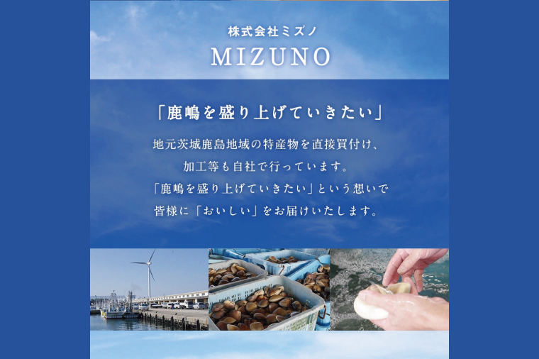 鹿島だこ【たこ タコ 蛸 海鮮 新鮮 魚貝 地たこ 刺身 鹿島灘 鹿嶋市 茨城県 20000円以内 2万円以内】（KM-9）