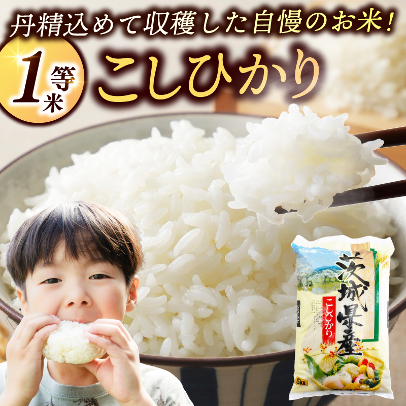 ★1等米★ コシヒカリ 10kg (5kg × 2袋)【令和6年産】米 精米 白米 こしひかり 茨城県 鹿嶋市 国産 送料無料 お米 ごはん おにぎり 冷めても 美味しい 粘り うまみ 厳選 出荷直前精米 ツヤ かおり うまい（KY-1） 10kg（単品）