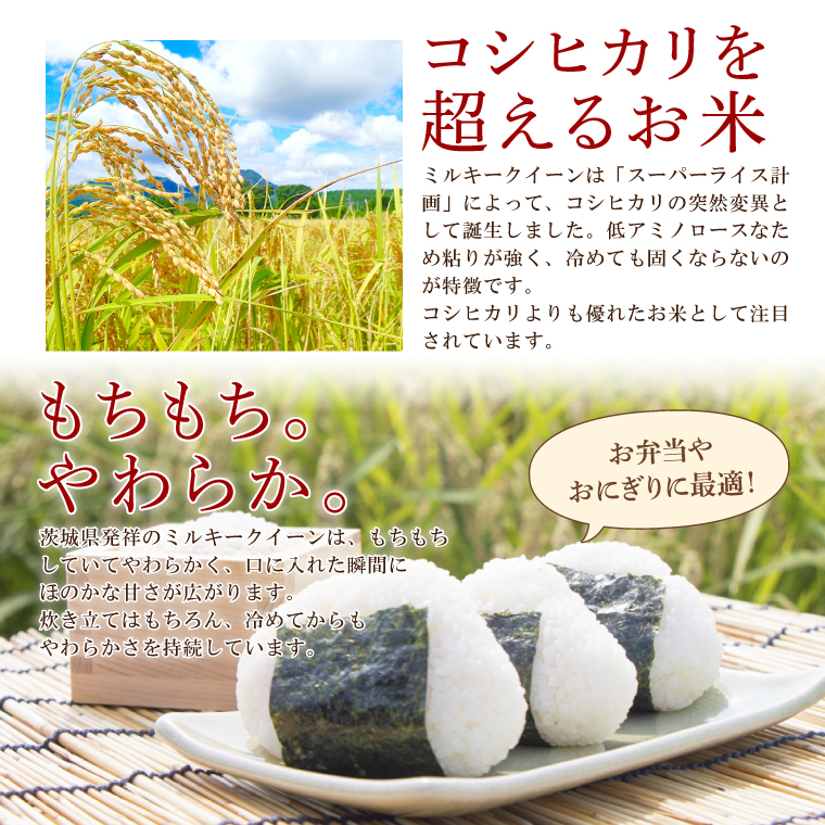【6ヶ月定期便】茨城県産ミルキークイーン 5kg (5kg×1袋) 【米 お米 白米 精米 おにぎり 茨城県産 鹿嶋市 国産 送料無料】 (KY-25) 5kg（6回定期便）