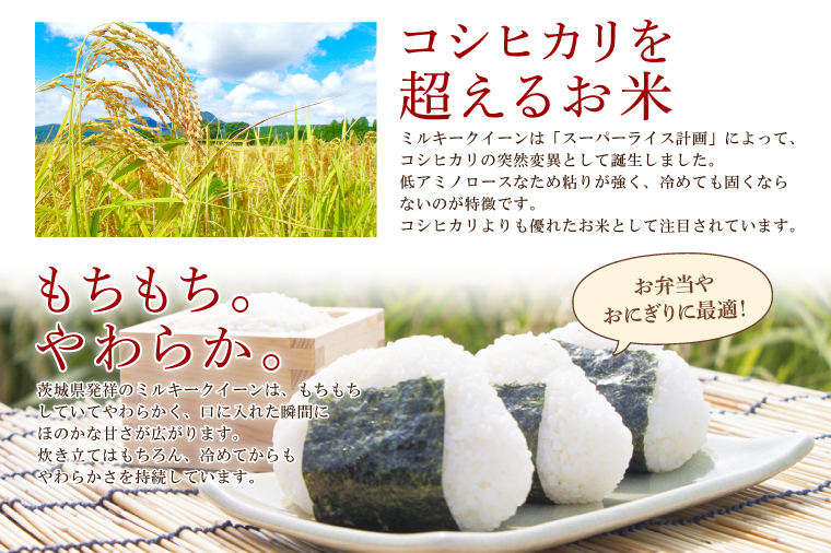 【6ヶ月定期便】茨城県産ミルキークイーン 10kg (5kg×2袋) 【米 お米 白米 精米 おにぎり 茨城県産 鹿嶋市 国産 送料無料】 (KY-9) 10kg（6回定期便）