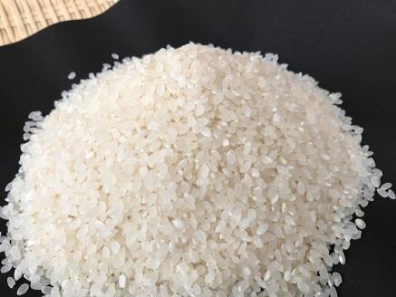 【栽培期間中無農薬＆減農薬】お米(2kg)と季節の野菜（4～5品）のセット 【おいしい ごはん やさい セット グルメ 無農薬 減農薬】（KBE-8）