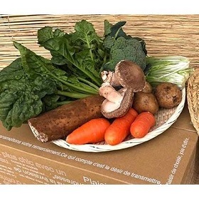 【栽培期間無農薬＆減農薬】季節の野菜ハーフセット12ヶ月定期便  (KBE-25)