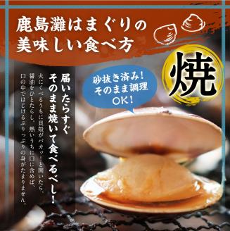 鹿島だこ 鹿島灘はまぐり 満足セット 3～5人前相当【たこ タコ 蛸 蛤 ハマグリ 海鮮 新鮮 魚貝 地たこ 刺身 鹿島灘 鹿嶋市 茨城県】（KM-10）