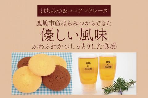 【期間限定】どんぐりハウス ミニコロセット 【茨城県 鹿嶋市 お菓子 セット スイーツ 福祉 刺し子 布巾 手芸 手作り 洋菓子 焼き菓子】(KCN-2)