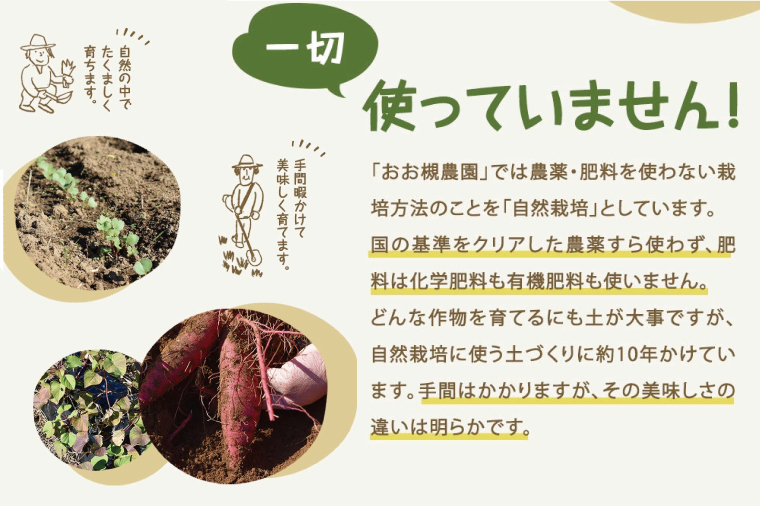 【10月中旬～11月末までの発送品！】【自然栽培】紅はるか 生さつまいも(4kg+約25%補償分)　計 約5kg 【サツマイモ 芋 いも べにはるか 自然栽培 新鮮 オーガニック 焼き芋 煮物 天ぷら スイートポテト 鹿嶋市 茨城県】（KAG-39）