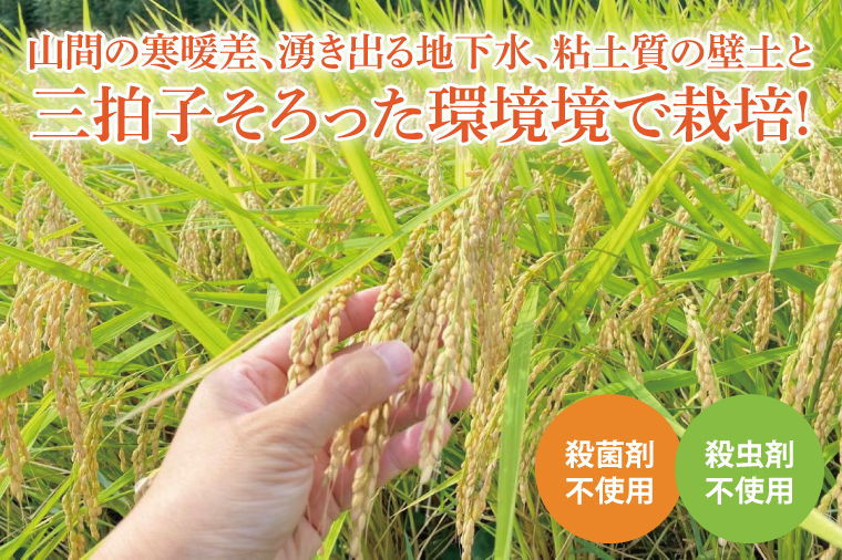 【茨城県共通返礼品・潮来市産】【先行予約】令和7年産新米　栽培期間出来るだけ農薬を減らして作る「かすみ米」（コシヒカリ）精米10kg 【減農薬 こしひかり おいしい おこめ 安心 安全 健康】（KBE-109）