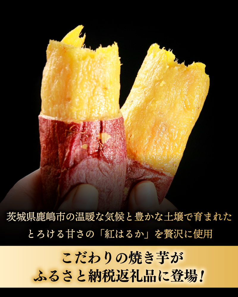 鹿島焼芋 純1.5kg＆焼き干しいも　900g(300g×3袋）セット【冷蔵 ひやし 焼き芋 やきいも 干しいも さつまいも 芋 お菓子 おやつ デザート スイーツ 和菓子 和スイーツ 鹿嶋市 茨城県】（KBK-55-c） 「純1.5kg」とセット 300g×3袋