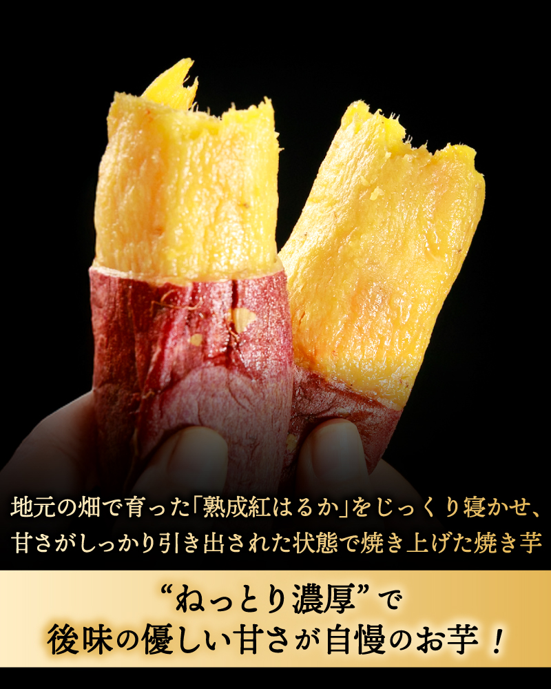 鹿島焼芋 純伯1.5kg＆焼き干しいも　900g(300g×3袋）セット【冷凍 ひやし 焼き芋 やきいも 干しいも さつまいも 芋 お菓子 おやつ デザート スイーツ 和菓子 和スイーツ 鹿嶋市 茨城県】（KBK-56-c） 「純伯1.5kg」とセット 300g×3袋