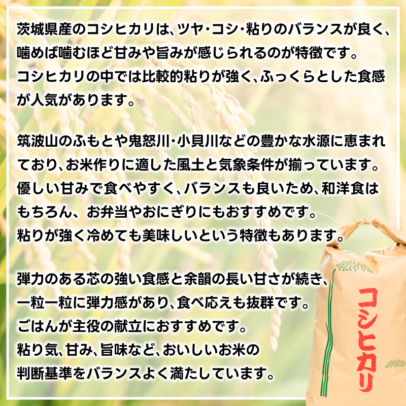 ★令和7年産米★ お米 コシヒカリ 精米 30kg 鹿嶋市産【こしひかり 米 コメ ごはん ライス ブランド米 茨城県 鹿嶋市】(KBR-24)