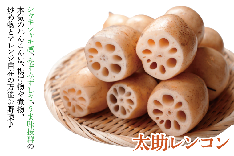 【先行予約】【セット販売】太助レンコン&蓮根肉餃子のおばけん 【2kg&20粒】【野菜 ギョーザ れんこん しゃきしゃき おいしい 食べきり 茨城県 鹿嶋市】（KBU-4）