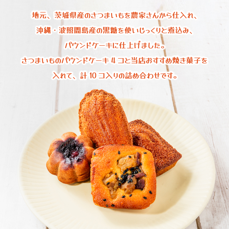 【４ヶ月定期便】焼き菓子10コ詰め合わせ【菓子 洋菓子 デザート ギフト スイーツ 贈り物 詰め合わせ 定期便 鹿嶋市 茨城県】 (KCX-18)