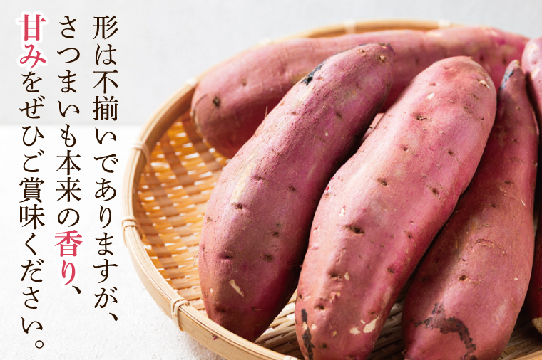 【先行予約】【訳あり 不揃い】完熟高糖度 さつまいも（紅はるか）約5kg（サイズ：2S～L）【熟成 サツマイモ 焼き芋 訳あり 訳あり キュアリング 茨城県 鹿嶋市産】【2025年12月～順次発送】（KDV-002） 2S～L