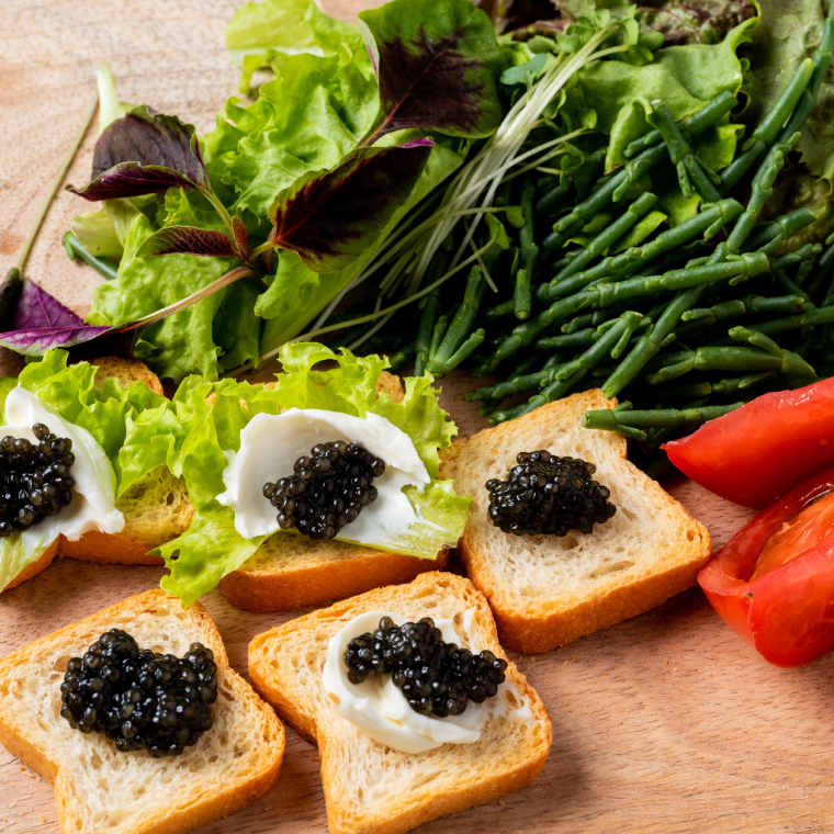 【茨城県共通返礼品・河内町産】＼12月より発送 先行予約／国産熟成キャビアVoeu-Pense (20g×１瓶）【トキタ 珍味 コラーゲン DHA・EPA 国産 熟成 お土産 贈り物】（KED-01)