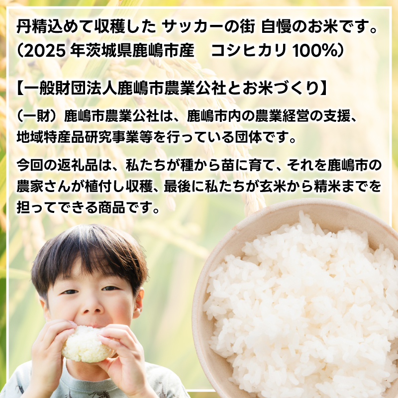 ★新米 令和7年★ 米 精米 白米 5kg「こしひかり」先行予約 鹿嶋市産【令和7年産 コシヒカリ 5キロ お米 コメ ごはん ライス ブランド米 茨城県 鹿嶋市】(KEJ-1) 5kg（単品）