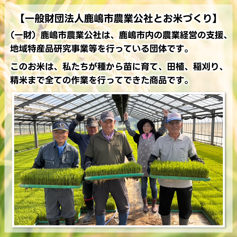 ★令和8年産 先行予約★ 数量限定 米 精米 白米 5kg「こしひかり」先行予約 鹿嶋市産【令和8年産 コシヒカリ 5キロ お米 コメ ごはん ライス ブランド米 茨城県 鹿嶋市】(KEJ-7) 5kg（単品）