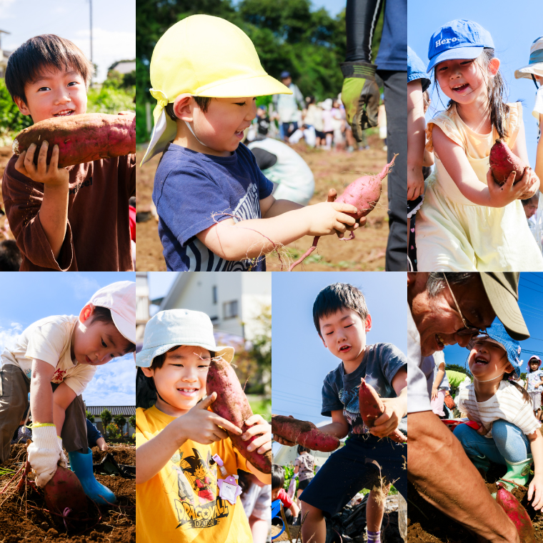 ★期間限定★ 熟成焼きいも 善右ヱ門 「 特製 焼き芋 1.5kg 」熟成 焼きいも 焼芋 やきいも さつまいも サツマイモ いも 人気 茨城県 鹿嶋市 (KEL-2)