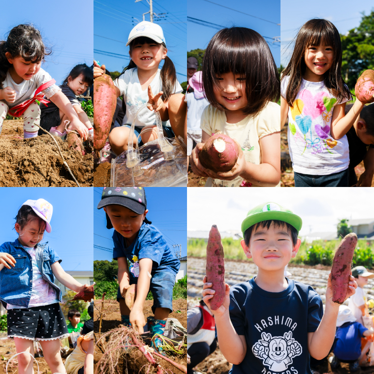 ★期間限定★ 熟成焼きいも 善右ヱ門 「 特製 焼き芋 2kg 」熟成 焼きいも 焼芋 やきいも さつまいも サツマイモ いも 人気 茨城県 鹿嶋市 (KEL-3)