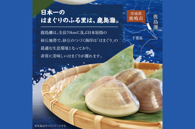日本一の生産地　茨城県鹿島灘産はまぐり 18粒以上【ハマグリ 蛤 海鮮 魚貝 冷蔵 縁起物 酒蒸し お吸い物 鹿島灘 茨城県 鹿嶋市 35000円以内】（KM-16）