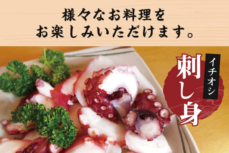 鹿島だこ【たこ タコ 蛸 海鮮 新鮮 魚貝 地たこ 刺身 鹿島灘 鹿嶋市 茨城県 20000円以内 2万円以内】（KM-9）