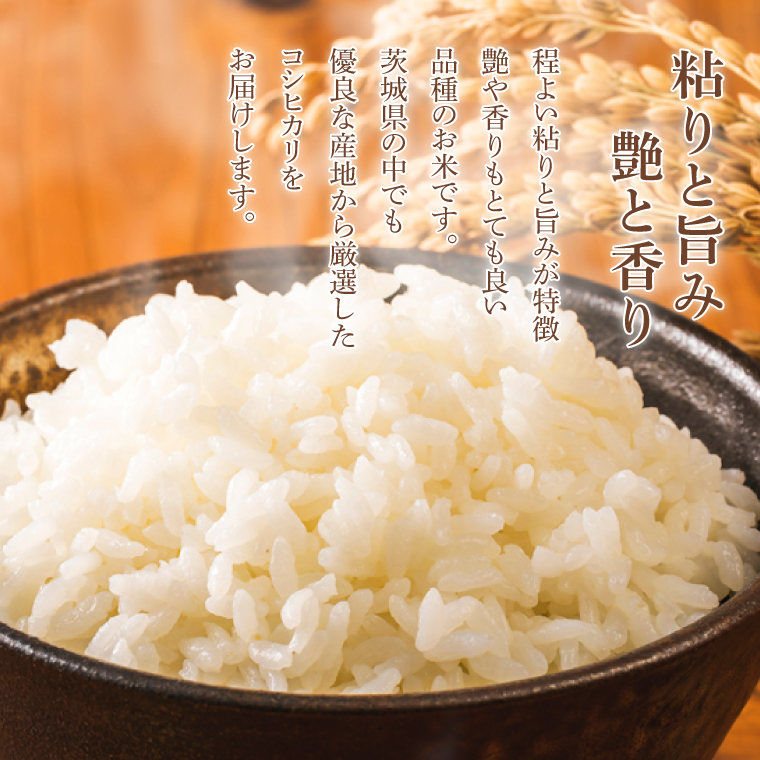 ★3ヶ月定期便★ 精米 コシヒカリ 10kg (5kg × 2袋) 総計 30kg【令和7年産】米 精米 白米 こしひかり 定期便 茨城県 鹿嶋市 国産 送料無料 お米 ごはん おにぎり 冷めても 美味しい 粘り うまみ 厳選 出荷直前精米 ツヤ かおり うまい（KY-3） 10kg（3回定期便）