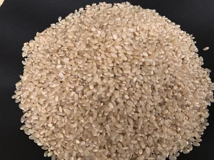 【栽培期間中無農薬＆減農薬】お米(2kg)と季節の野菜（4～5品）のセット 【おいしい ごはん やさい セット グルメ 無農薬 減農薬】（KBE-8）