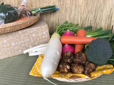 【栽培期間農薬不使用】季節の野菜ハーフセット（KBE-113)