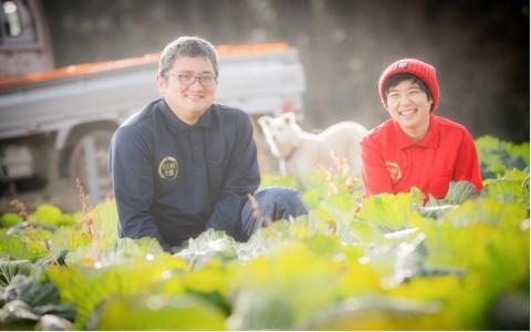 【先行予約】フルーツキャベツ（5kg）【産地直送 期間限定 人気 出荷時期限定 きゃべつ 野菜 お野菜 鹿嶋市 茨城県 】（KAG-30） 5kg