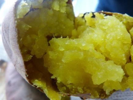 KBE-59【先行予約】【令和7年11月発送】　焼き芋好きのためのさつま芋　紅はるか10kg【茨城県共通返礼品・行方市産】