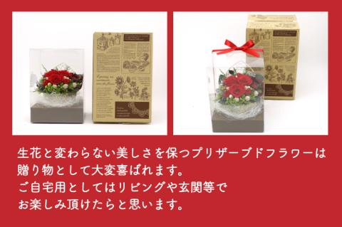 プリザーブドフラワーアレンジメント　レッドのアレンジメント (KCO-1)