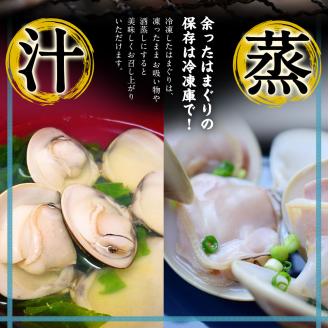 鹿島だこ 鹿島灘はまぐり 大容量セット 6~8人前相当【たこ タコ 蛸 蛤 ハマグリ 海鮮 新鮮 魚貝 地たこ 刺身 鹿島灘 鹿嶋市 茨城県】（KM-11）