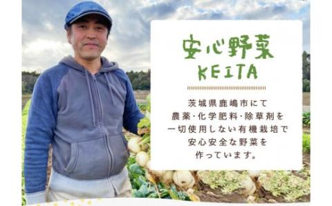 【先行予約】にんじん 5kg 旬の安心野菜【人参 ニンジン 無農薬 有機 栽培 野菜 サラダ 料理 オーガニック 数量 限定 人気 栄養 茨城県 鹿嶋市】 (KAX-15)