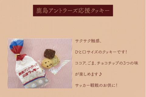 【期間限定】どんぐりハウス ミニコロセット 【茨城県 鹿嶋市 お菓子 セット スイーツ 福祉 刺し子 布巾 手芸 手作り 洋菓子 焼き菓子】(KCN-2)