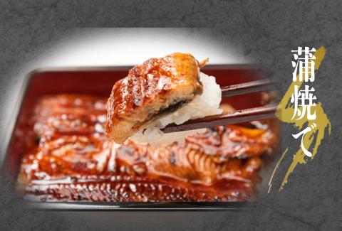 こだわりの国産厳選うなぎ　白焼き（4尾）【国産 厳選 鰻 ウナギ 鰻白焼き 蒲焼 タレ 山椒 土用 丑の日 25000円以下 鹿嶋市 茨城県】（KAL-5） 4尾入り