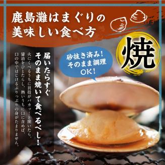 鹿島灘はまぐり【ハマグリ 蛤 海鮮 貝 魚貝 鹿嶋市 茨城県 20000円以内 2万円以内）（KM-2）