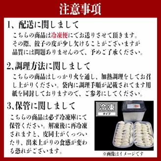手作り餃子の劉さん　手作り餃子50個入り　１袋　鹿嶋市　ぎょうざ　ギョウザ　人気   茨城県産 冷凍 送料無料（KBO-1）