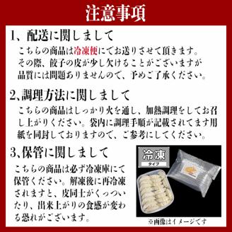 手作り餃子の劉さん　手作り餃子20個入り　１袋　鹿嶋市　ぎょうざ　ギョウザ　人気   茨城県産 冷凍 送料無料（KBO-2）