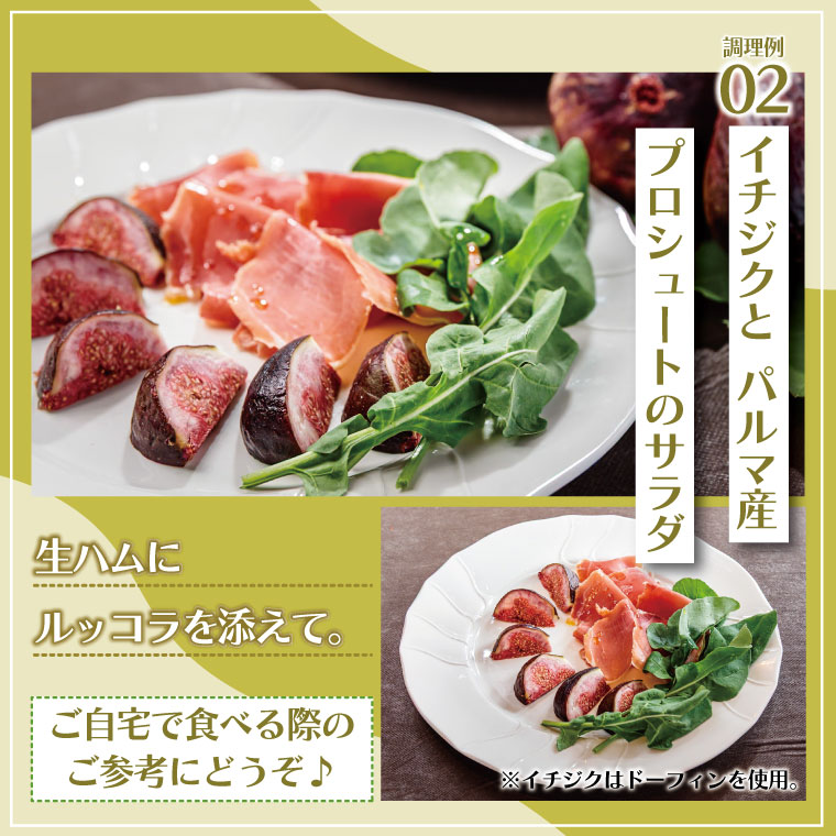 イチジク苗木7号ポット（バナーネ）【苗木 観葉 植物 いちじく 自宅 ポット茨城県 鹿嶋市】（KAE-10）