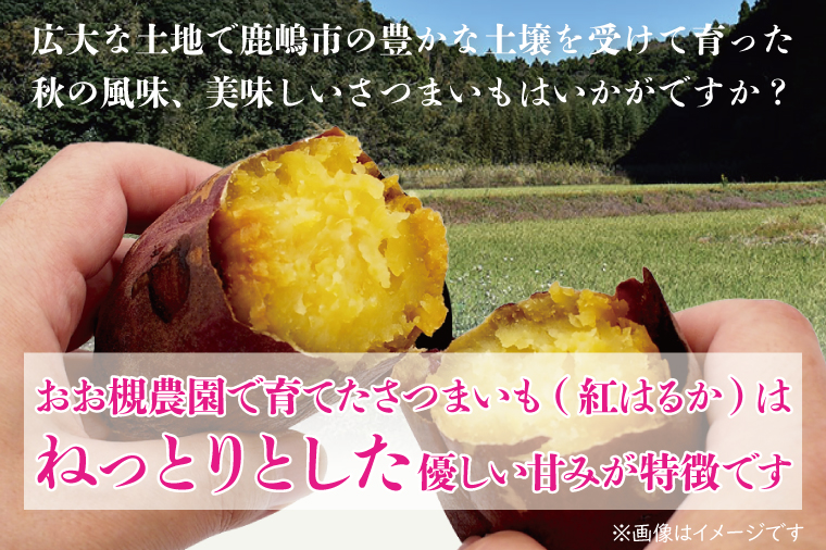 【10月中旬～11月末までの発送品！】【自然栽培】紅はるか 生さつまいも(4kg+約25%補償分)　計 約5kg 【サツマイモ 芋 いも べにはるか 自然栽培 新鮮 オーガニック 焼き芋 煮物 天ぷら スイートポテト 鹿嶋市 茨城県】（KAG-39）