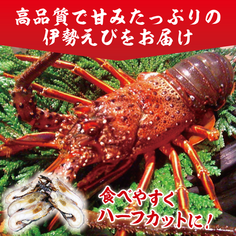 【漁師直送／活〆冷凍】伊勢海老（2kg／4~10尾）（KBL-19)