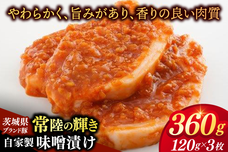 いばらき満喫Bセット 「鹿島灘産 はまぐり」＋「【茨城県共通返礼品】常陸の輝き (豚肉) 味噌漬け」【蛤 ハマグリ 三元豚 豚 ぶた ブタ セット バーベキュー BBQ 贈答用 ギフト 鹿嶋市 茨城】(KBL-21)